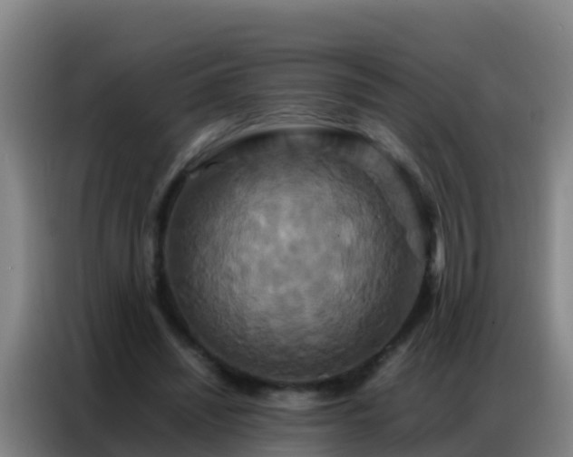 X0000086790444200704201847