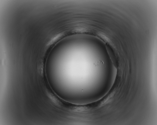 X0000086790446200704201847