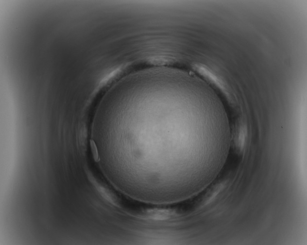 X0000086790448200704201847