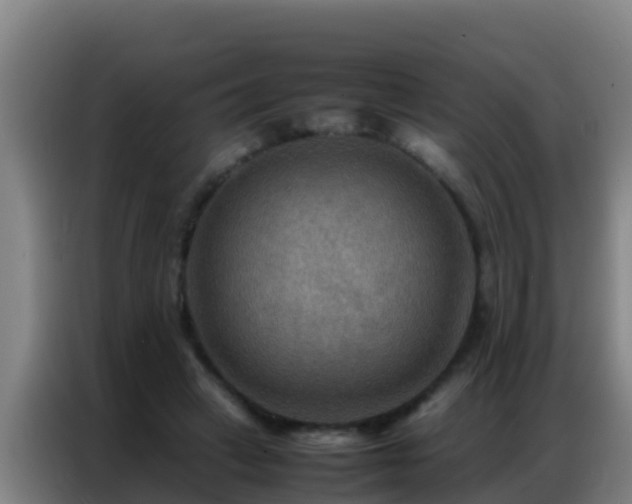 X0000086790449200704201847