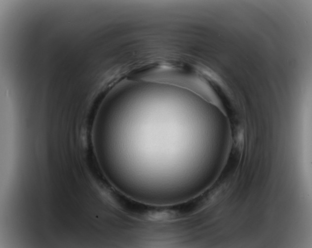 X0000086790452200704201847