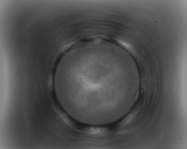 X0000086790453200704201847
