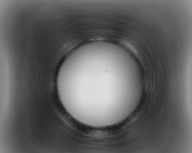 X0000086790455200704201847