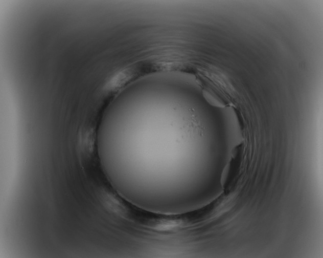 X0000086790458200704201847
