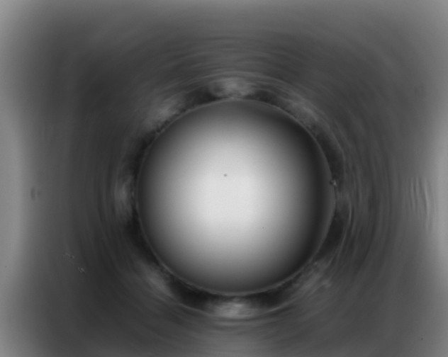 X0000086790460200704201847