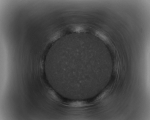 X0000086790461200704201847