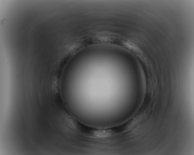 X0000086790465200704201847