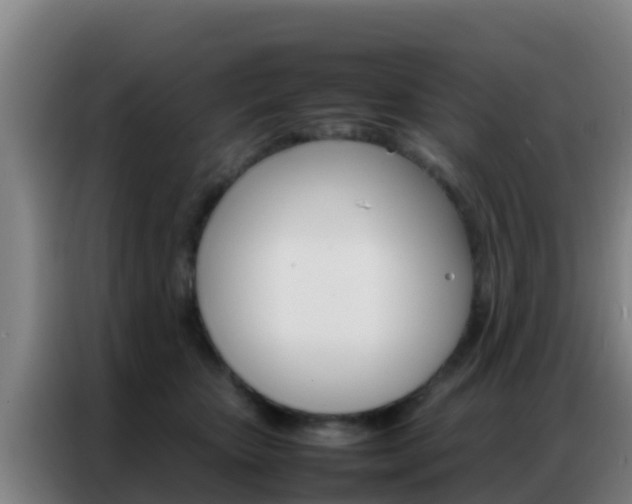 X0000086790467200704201847