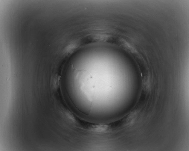 X0000086790474200704201847
