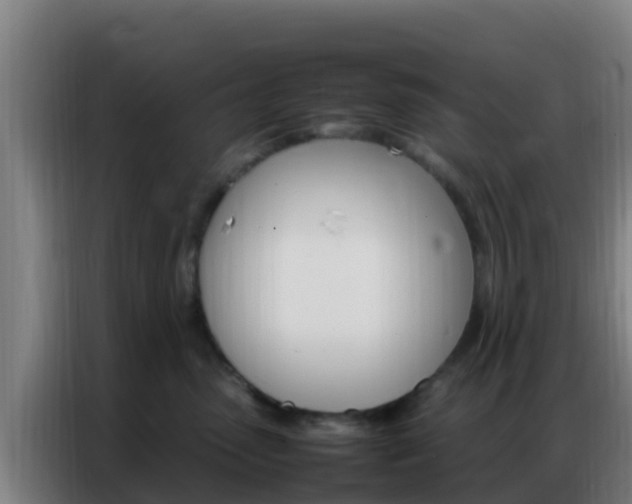 X0000086790475200704201847