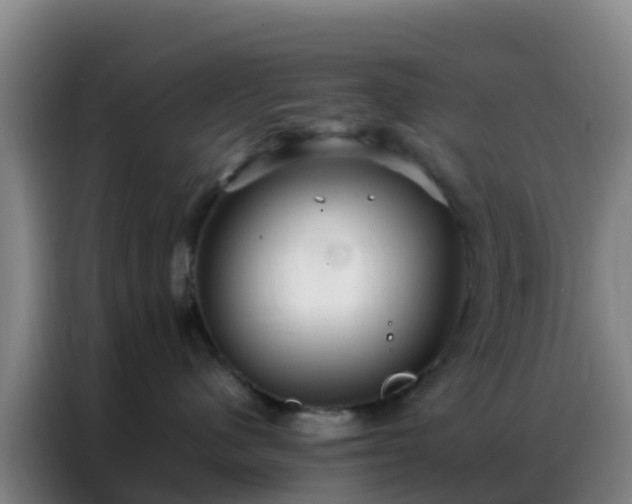 X0000086790480200704201847