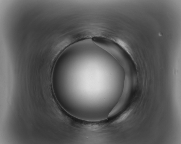 X0000086790481200704201847