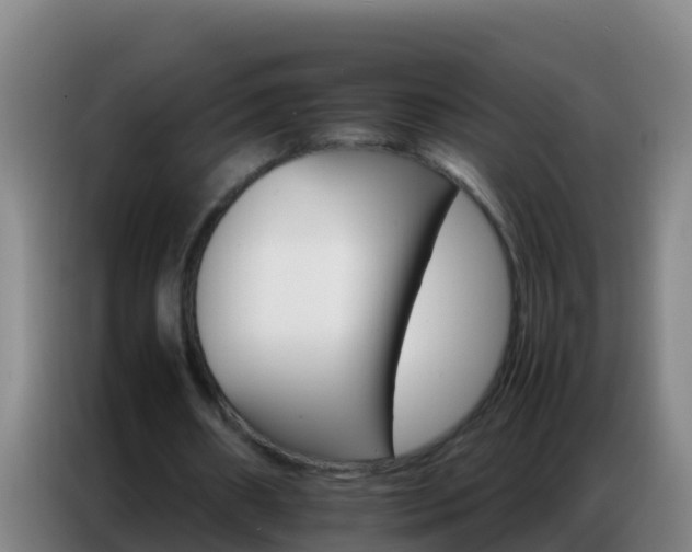 X0000086790482200704201847