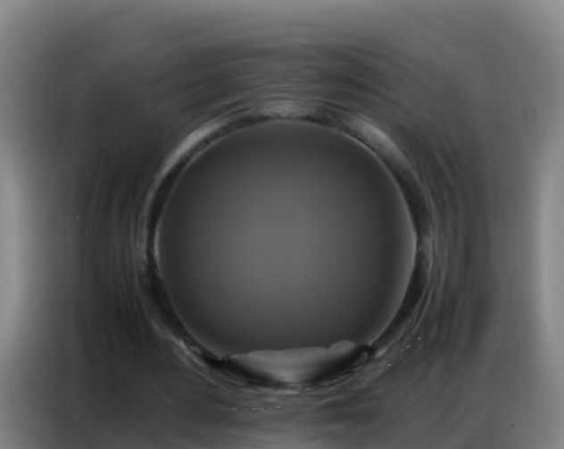 X0000086790484200704201847