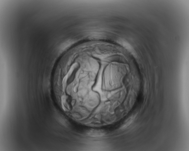 X0000086790487200704201847
