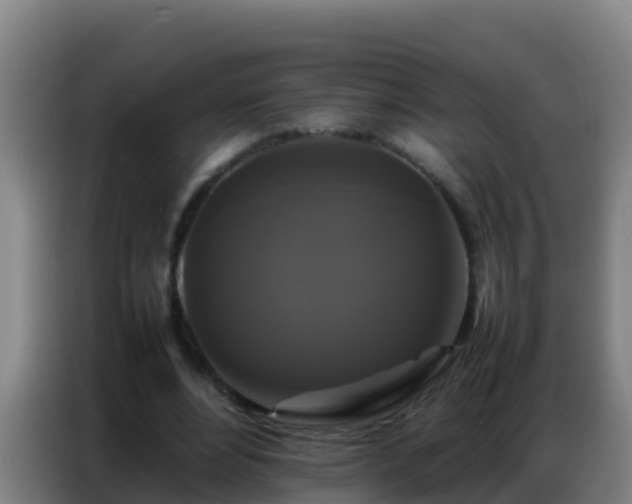 X0000086790488200704201847