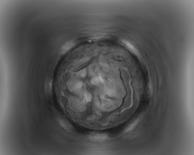 X0000086790491200704201846