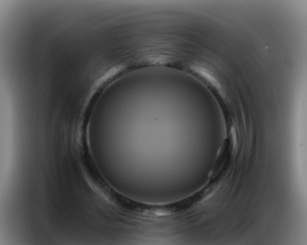X0000086790492200704201846