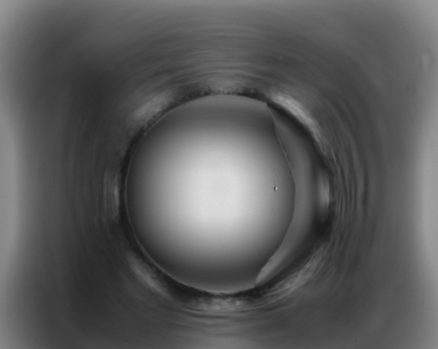 X0000086790493200704201846