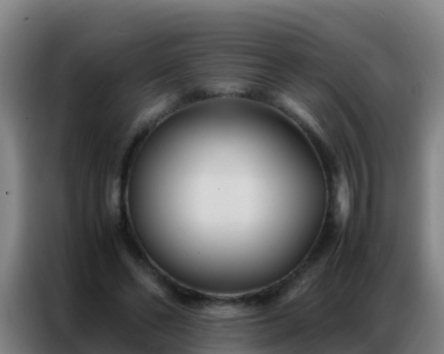 X0000086790494200704201846