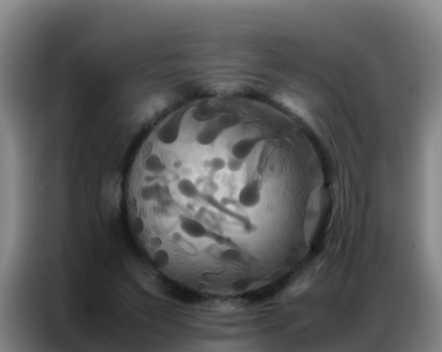 X0000086790495200704201846