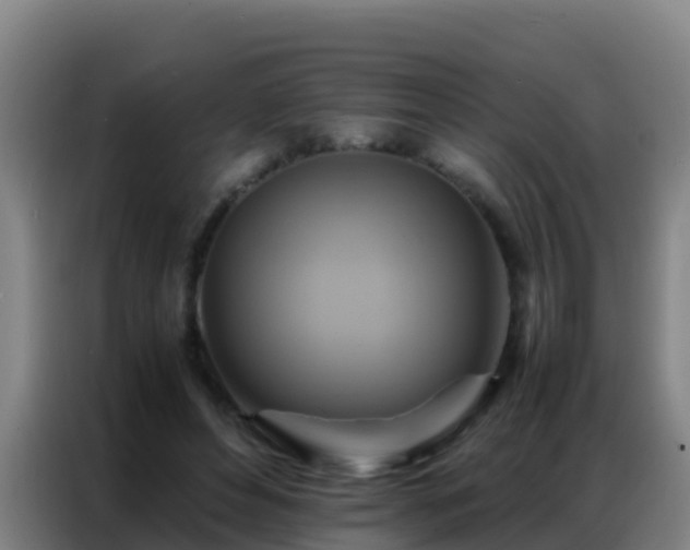 X0000086790496200704201846