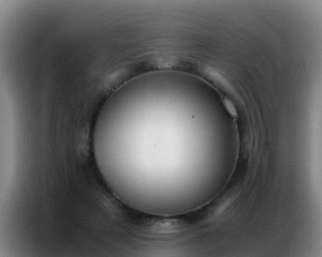X0000086790497200704201846