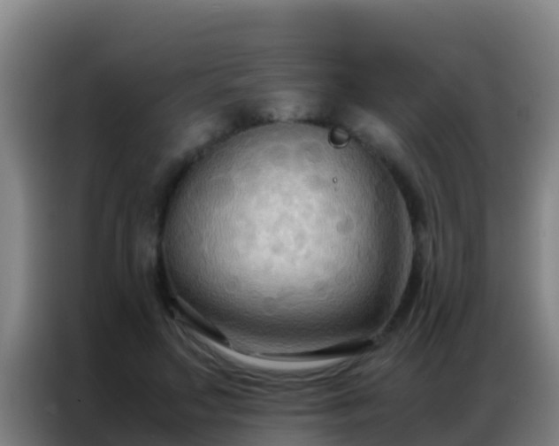 X0000086790499200704201846