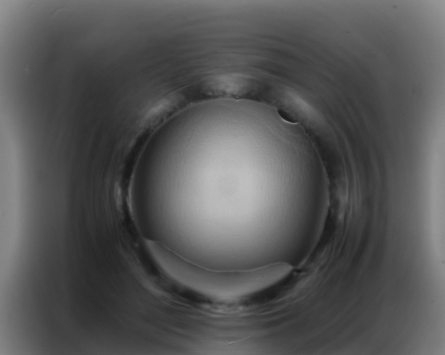 X0000086790500200704201846