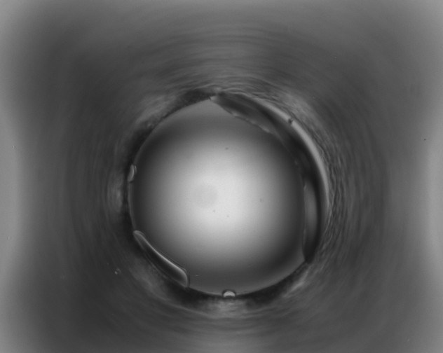 X0000086790501200704201846