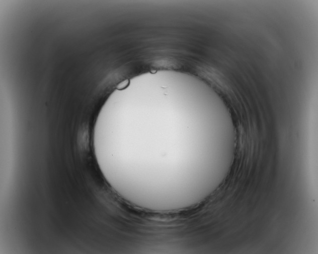 X0000086790502200704201846