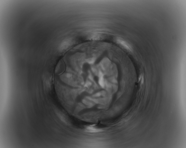 X0000086790503200704201846