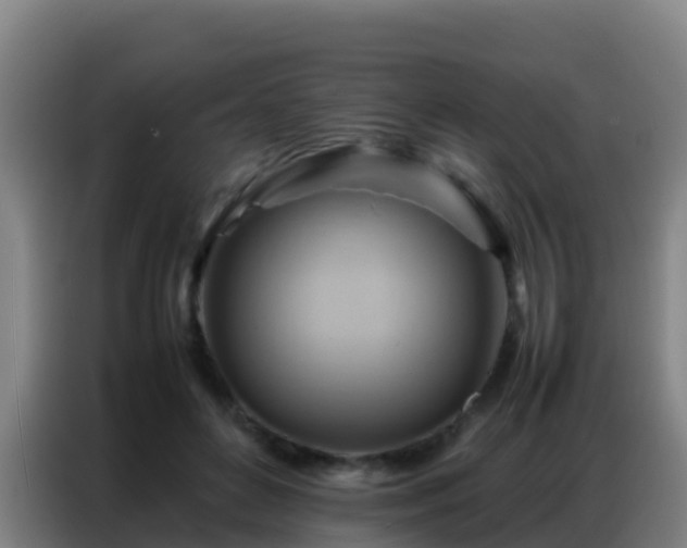 X0000086790504200704201846