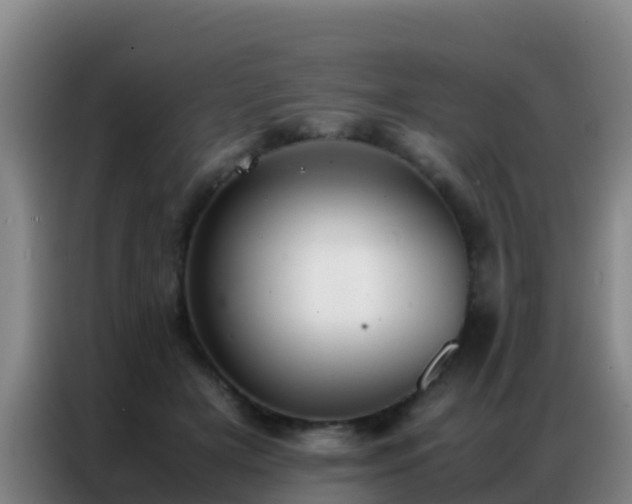 X0000086790505200704201846