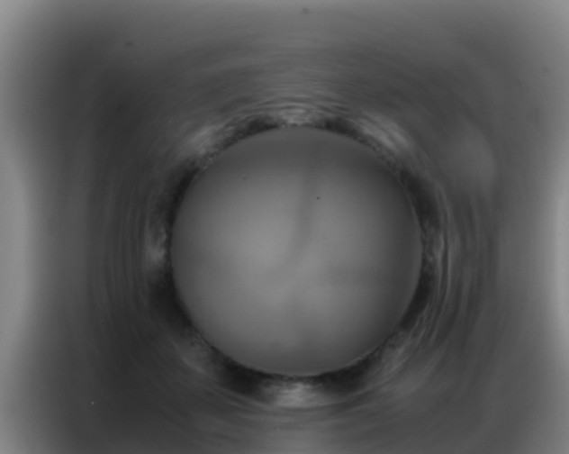 X0000086790507200704201846