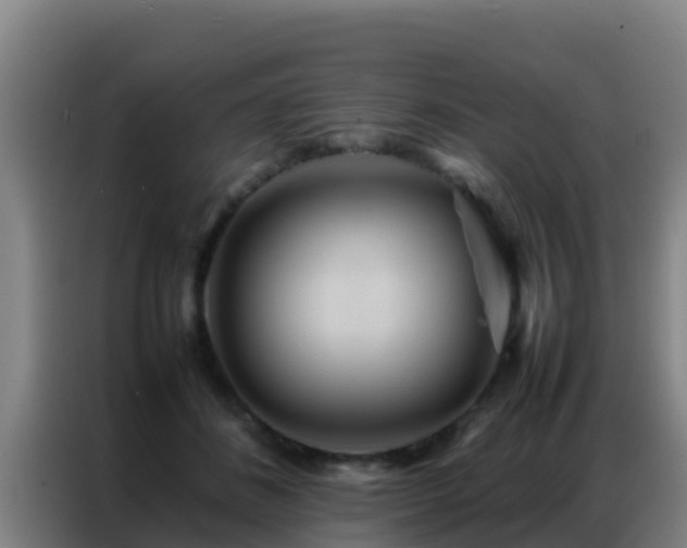 X0000086790508200704201846