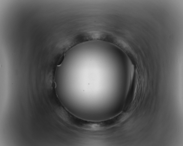 X0000086790509200704201846