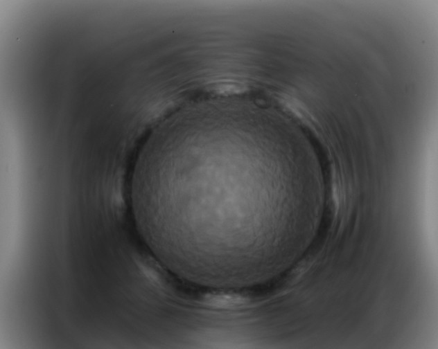 X0000086790512200704201846