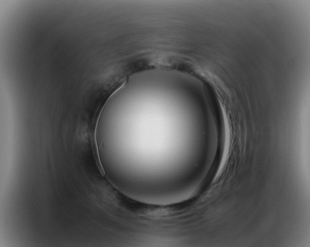X0000086790513200704201846