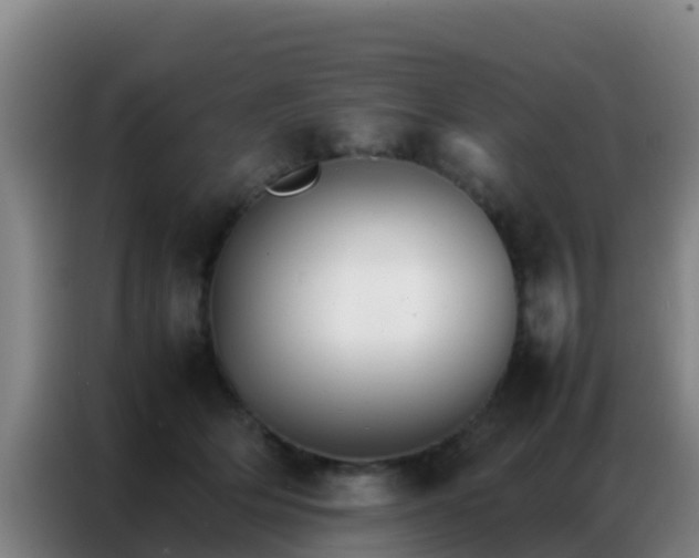 X0000086790514200704201846