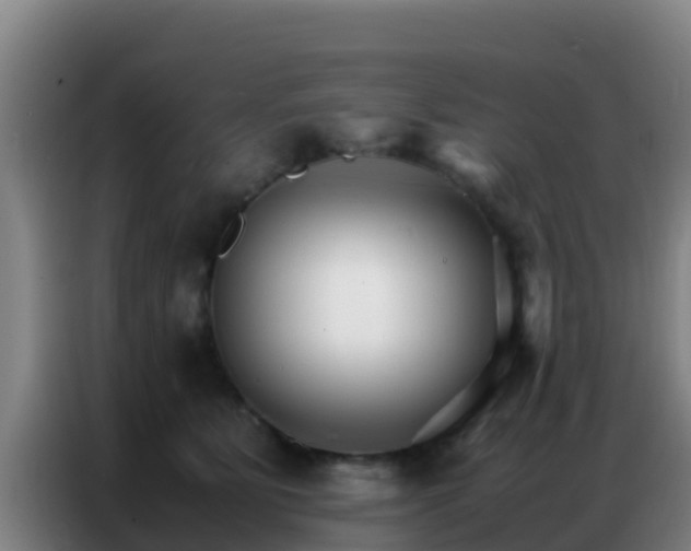 X0000086790515200704201846