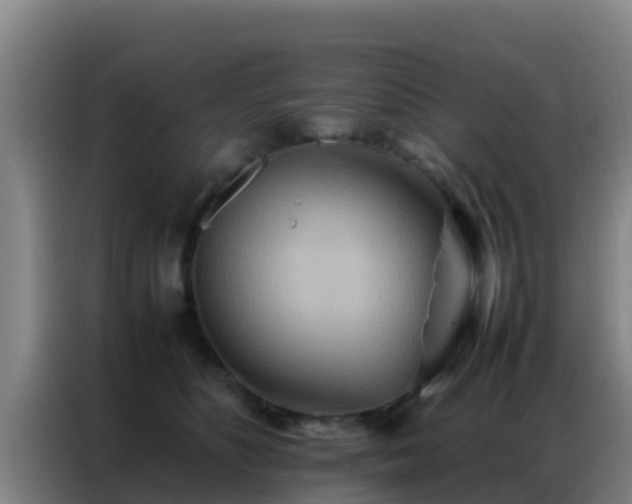 X0000086790516200704201846