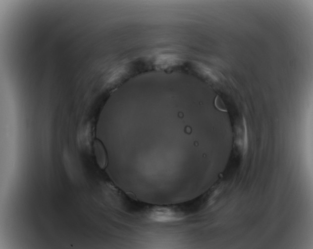 X0000086790519200704201846