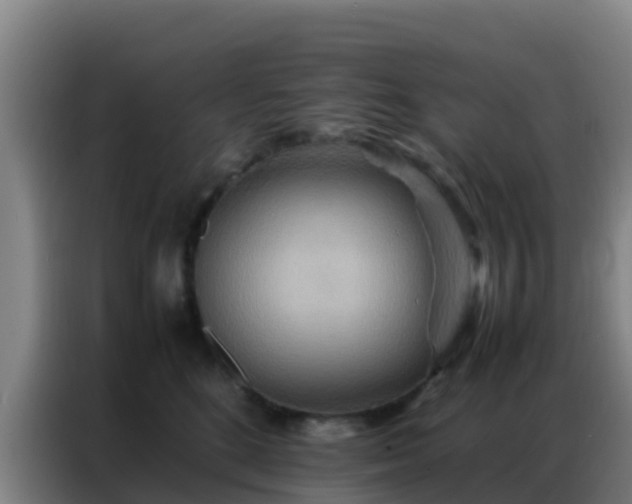 X0000086790520200704201846