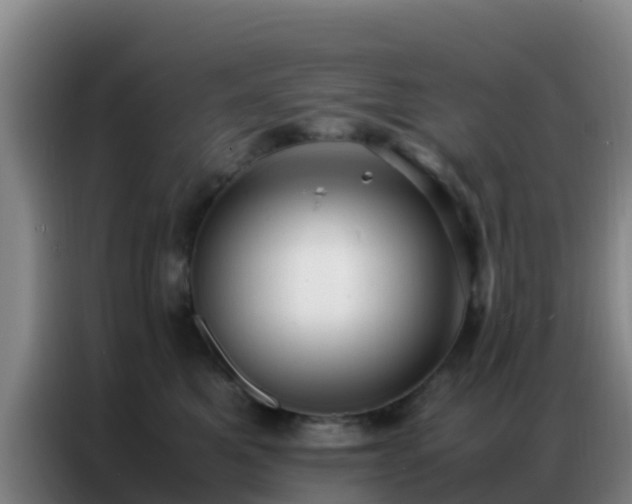 X0000086790521200704201846