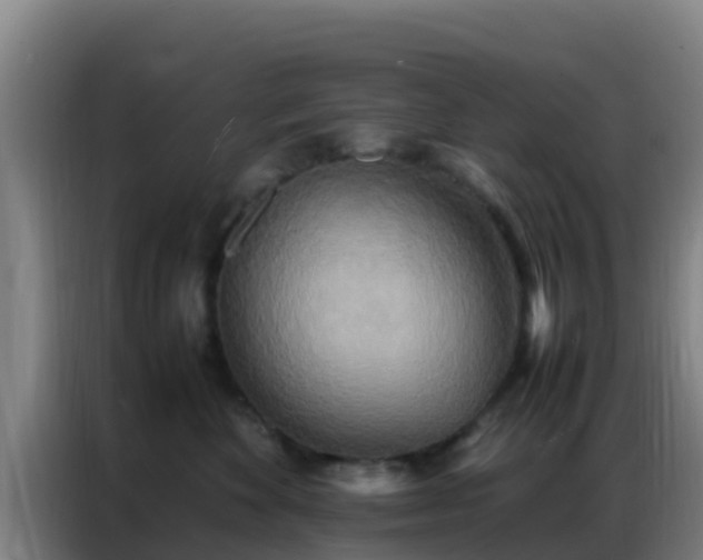 X0000086790524200704201846