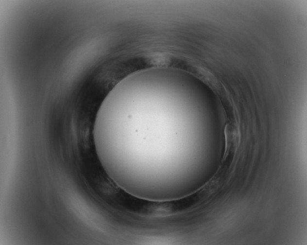 X0000086790525200704201846