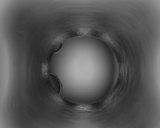X0000086790526200704201846