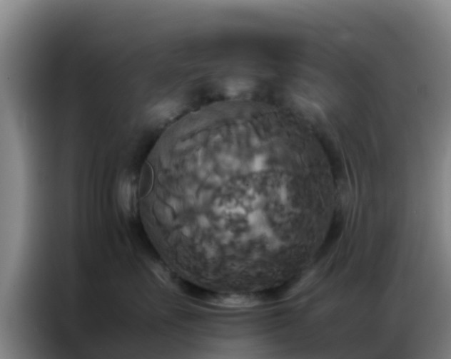 X0000086790527200704201846