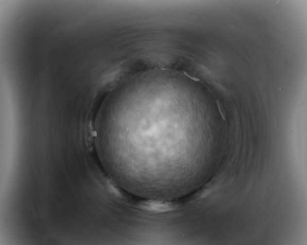 X0000086790528200704201846